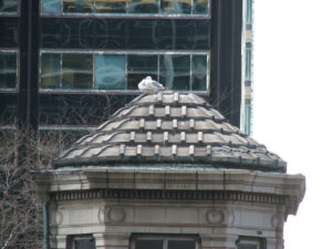 Existing west bridge house without Acroterion